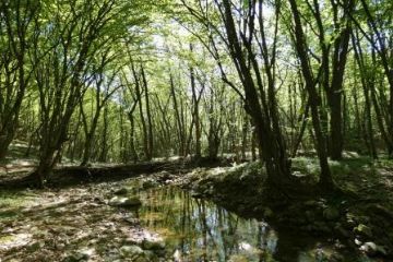 Progetto RI-Vauda