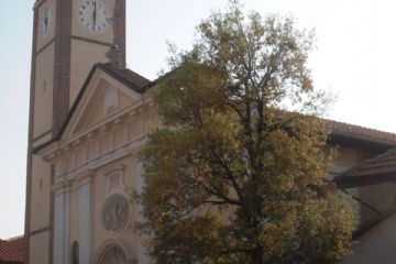 Sfoglia la galleria